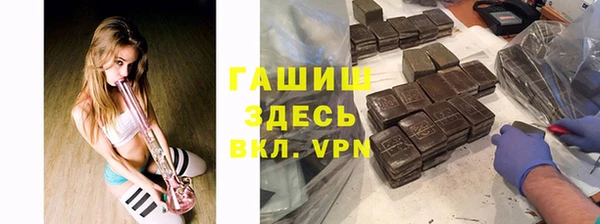 стаф Алексин