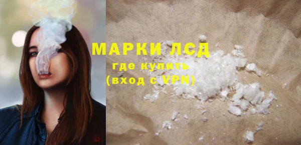 стаф Алексин