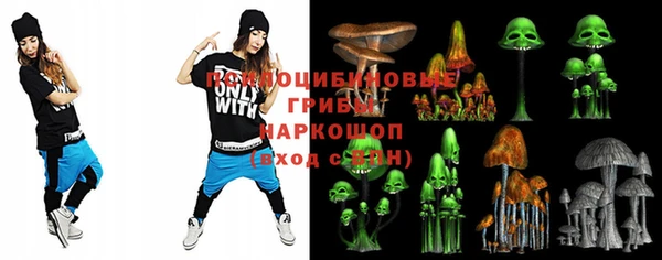 стаф Алексин