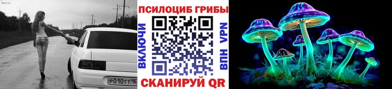 Псилоцибиновые грибы GOLDEN TEACHER  где продают наркотики  Кологрив 