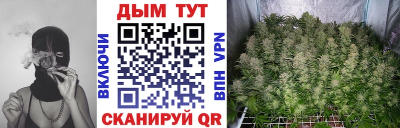 Канабис план  mega ССЫЛКА  Кологрив 